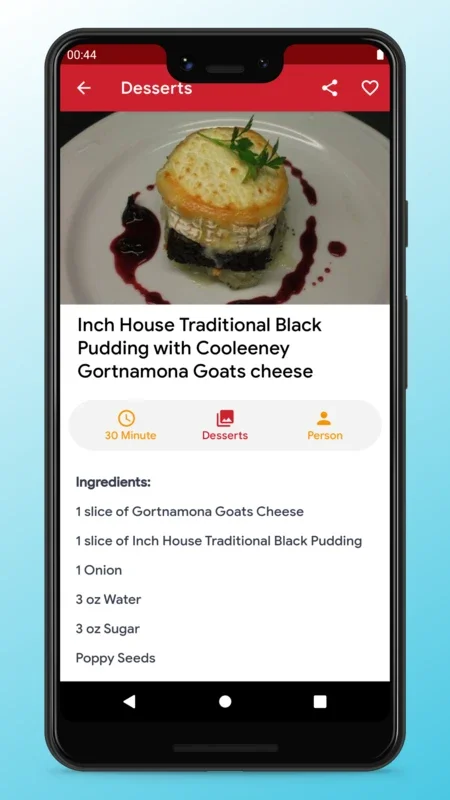 Irish Food Recipes and Cooking for Android - Explore Delicious Options