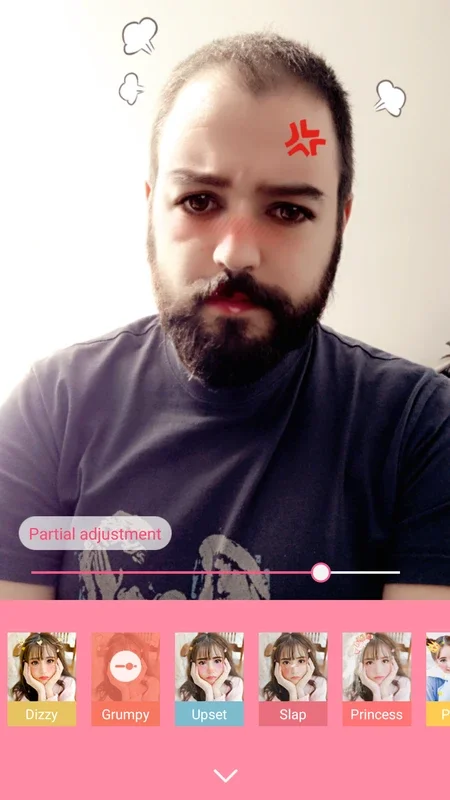 BeautyCam for Windows - Unique Picture Editing