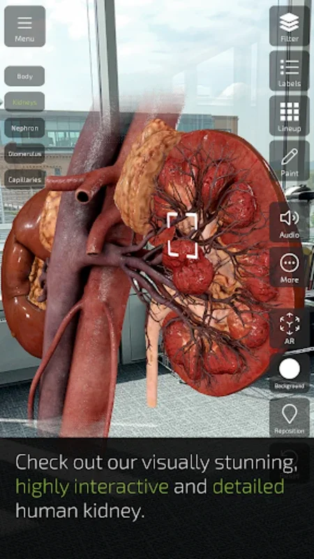 Insight Kidney for Android: Explore Kidney Anatomy with AR