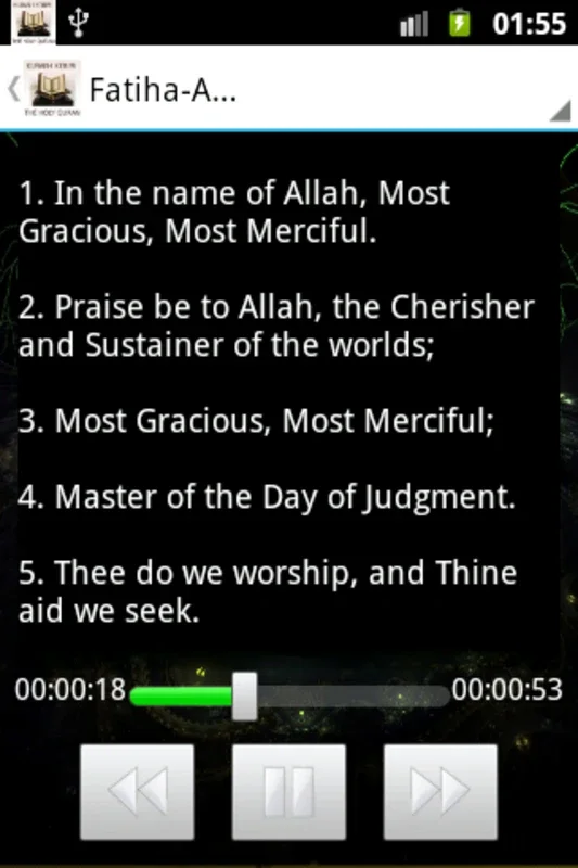 Holy Quran video and MP3 for Android - No Downloading Needed