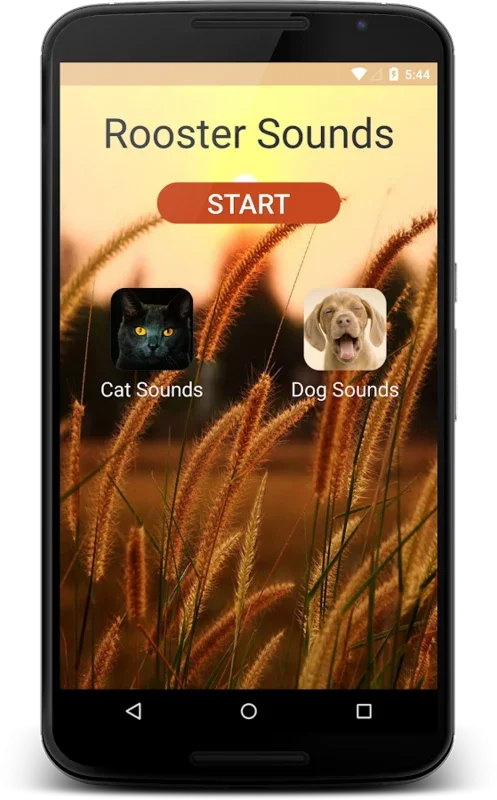 Rooster Sounds for Android - Authentic Sound Experience