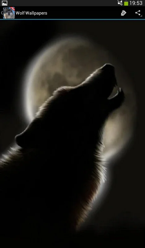 Wolf Wallpapers for Android - Stunning Wolf Imagery