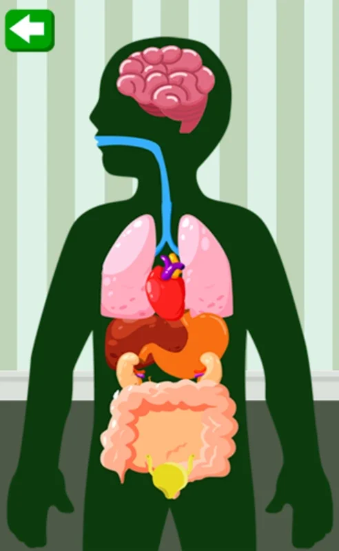 Body Parts for Kids for Android - Interactive Learning