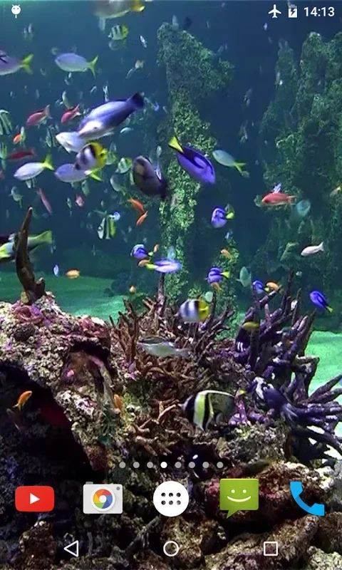 Aquarium 4K Video Wallpaper for Android - Transform Your Screen