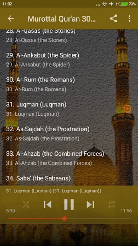 Murottal Qur for Android - Offline Quran Recitation