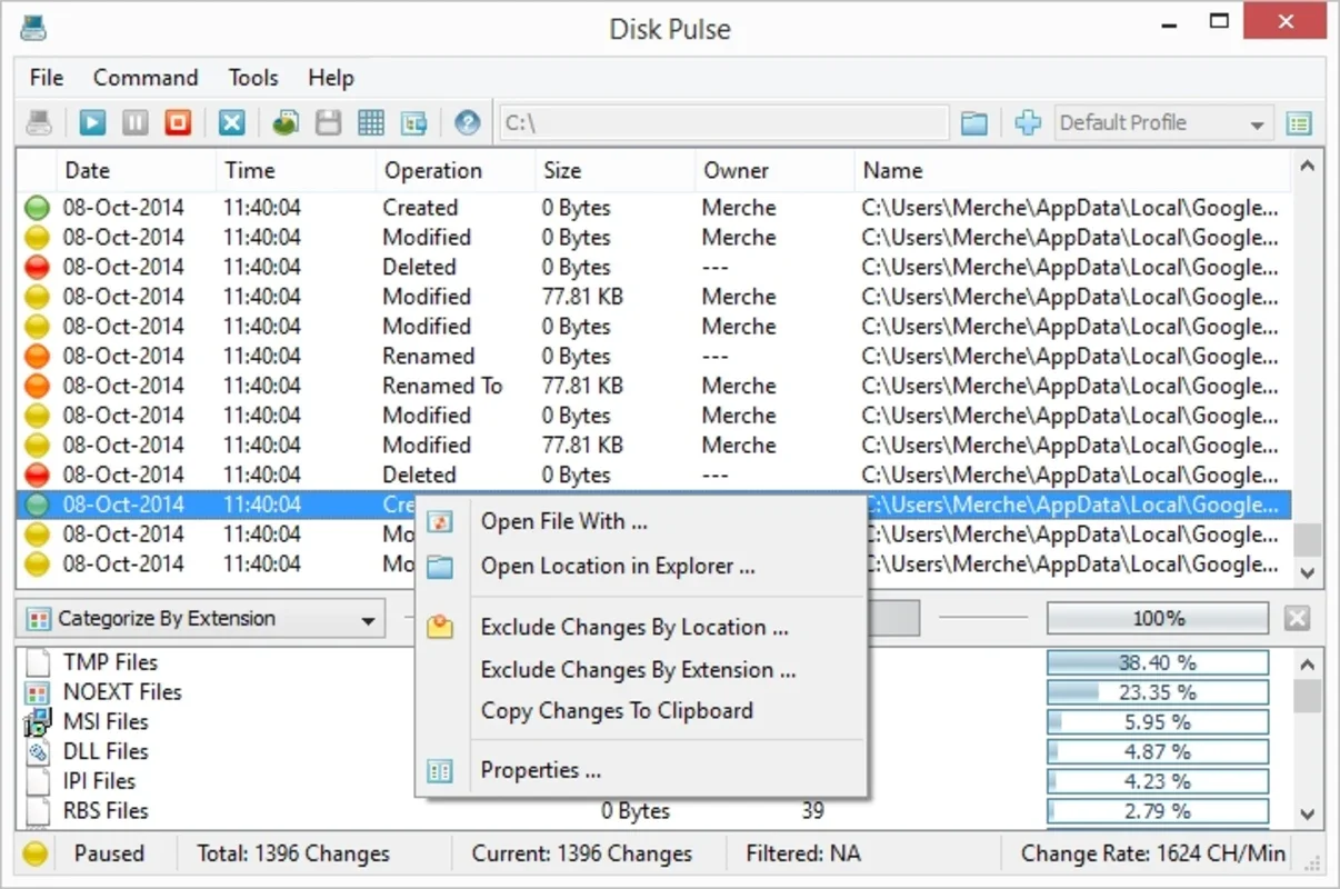 DiskPulse for Windows - Keep Track of File Changes