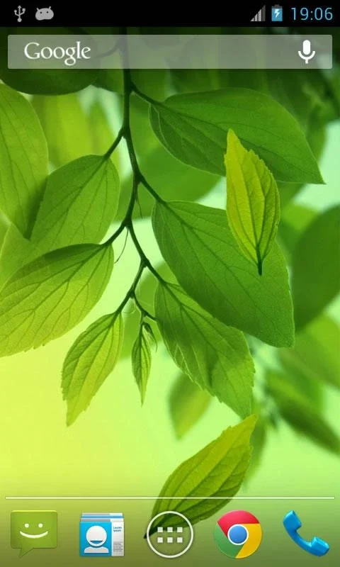 Leaf Live Wallpaper for Android - Enhance Your Screen