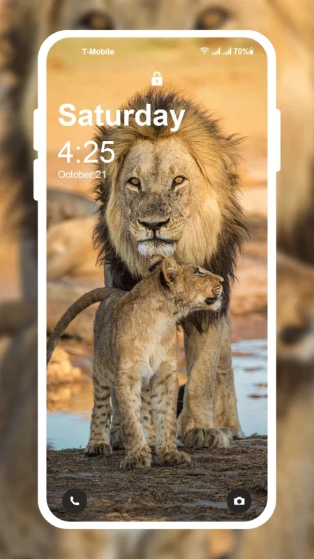 Lion HD Wallpaper for Android - Dazzling Images