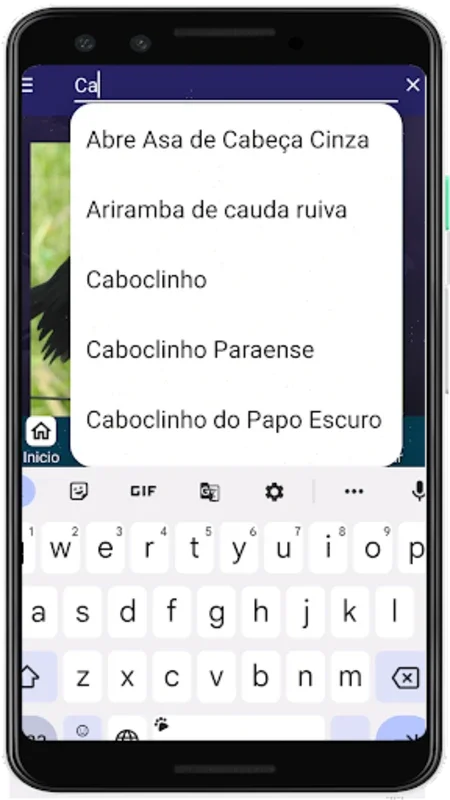 Brazilian's birds sounds for Android - Immerse in Authentic Avian Tunes