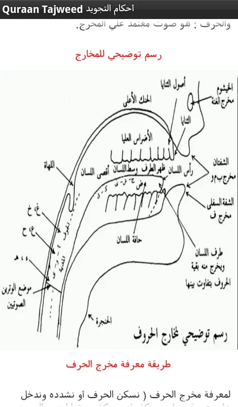 Quraan Tajweed for Android: Master Quran Recitation