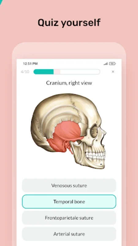 Easy anatomy. Medical atlas for Android - Explore Human Anatomy