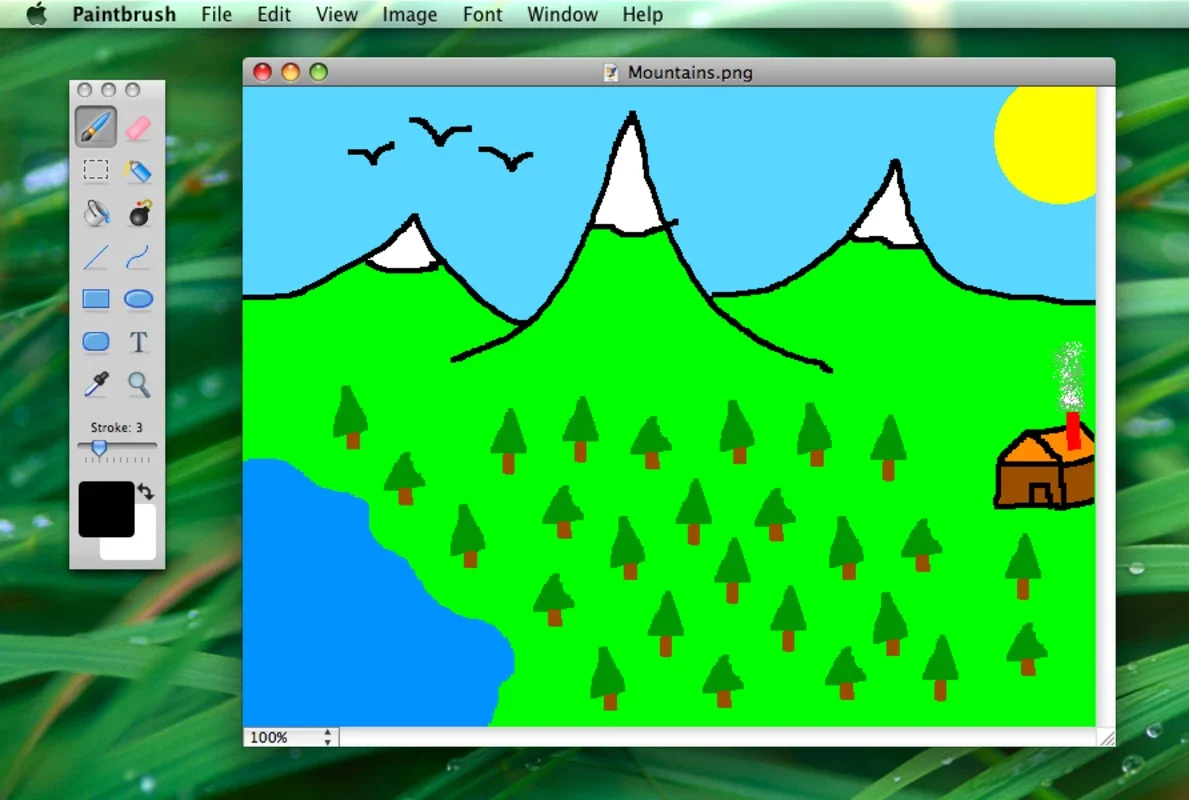 Paintbrush for Mac - Simple Image Editing Solution