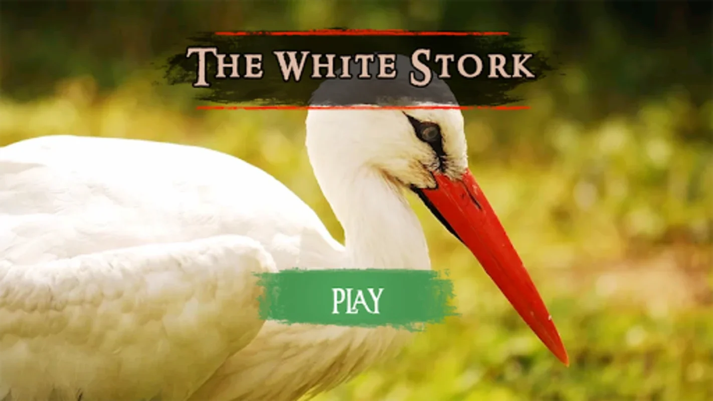 The White Stork for Android - Realistic Survival Adventure