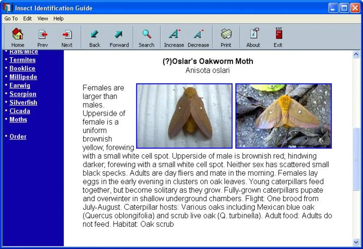 Insect Identification Guide for Windows - No Download Needed