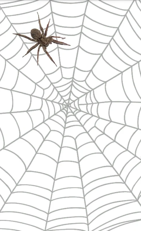 Spider for Android - Engaging Spider Web Game