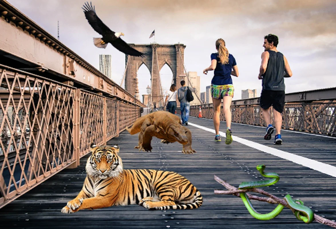 Wild Animals in Photo for Android - Enhance Photos Easily