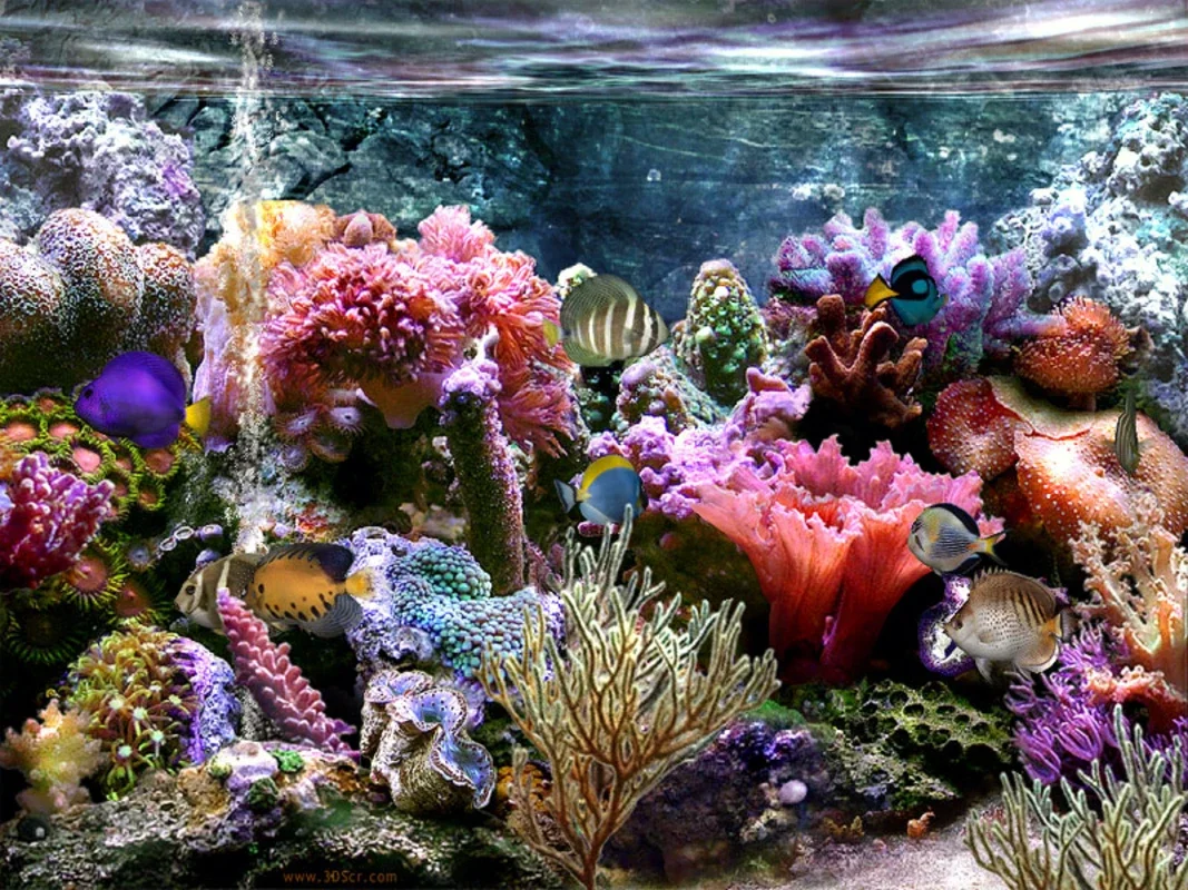 Sim Aquarium Free Tank for Windows - Enjoy a Relaxing Aquarium