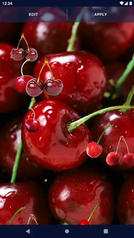 Summer Cherry Live Wallpaper for Android - Enhance Your Screen