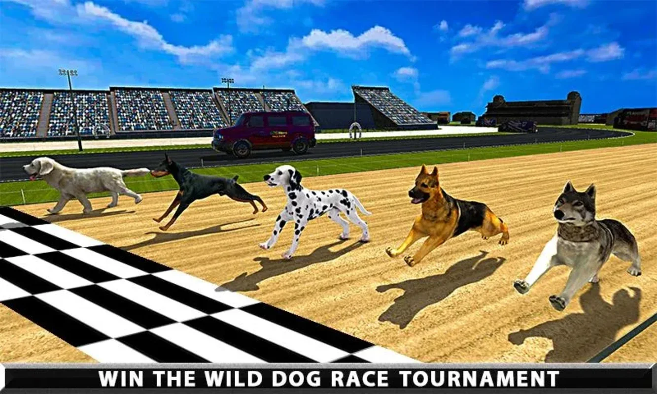 Wild Greyhound Dog Racing for Android - Thrilling Races