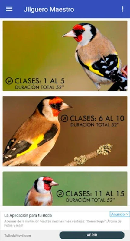 Maestro Jilguero for Android: Enhance Goldfinch Singing