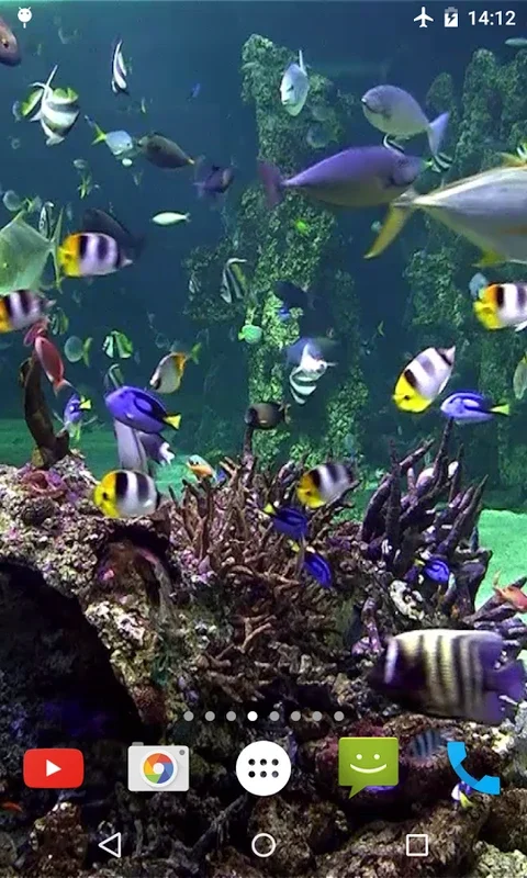 Aquarium 4K Video Wallpaper for Android - Transform Your Screen