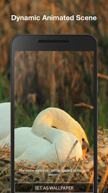 Swans Live Wallpaper for Android - Transform Your Screen