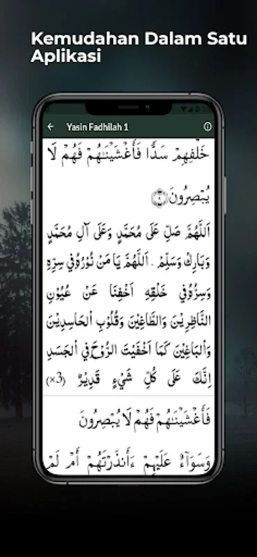 Surat Yasin Fadilah Lengkap for Android - Enrich Your Islamic Knowledge