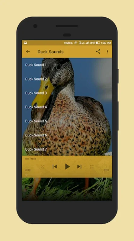 Duck Sounds for Android: Relax with Nature's Melodies