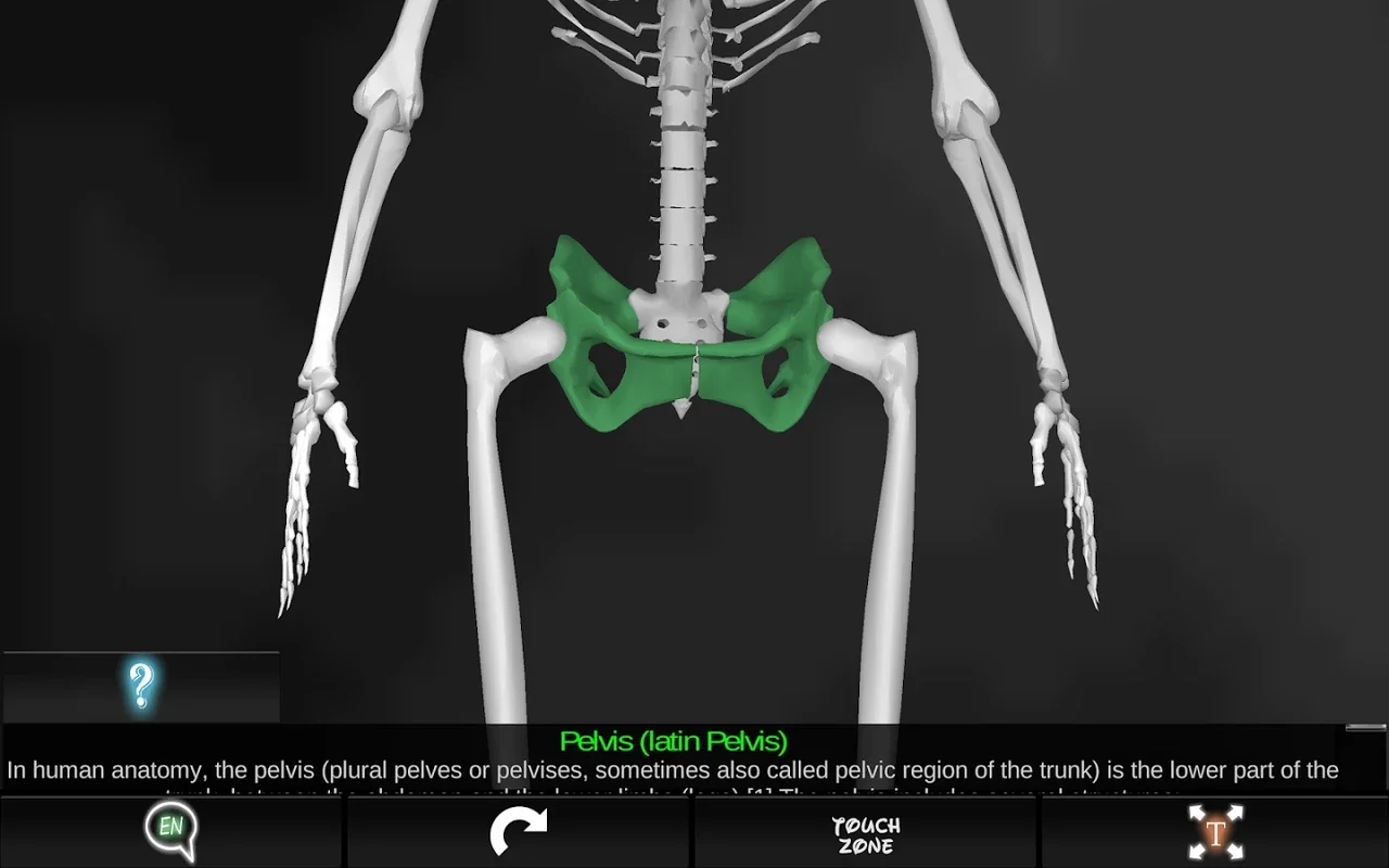 Bones Human 3D (anatomy) for Android: In - Depth Skeletal Knowledge