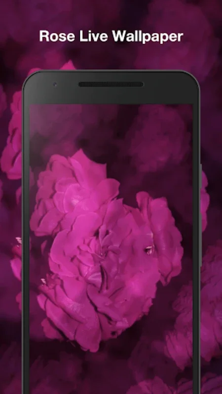 Rose Live Wallpaper for Android - Enhance Your Screen