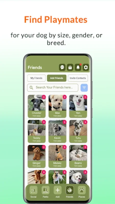 Wag Buddy for Android - Discover Dog-Friendly Places