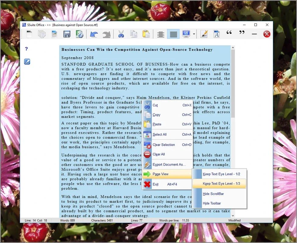 SSuite Writer's D'Lite for Windows: Powerful Writing Tool