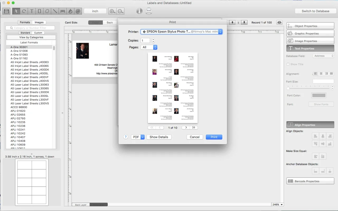 Labels and Databases for Mac: A Versatile Label Design Tool