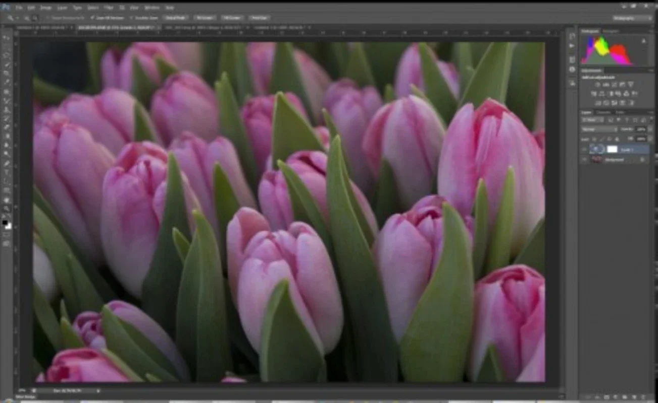 Adobe Photoshop for Mac - Unleash Your Creativity