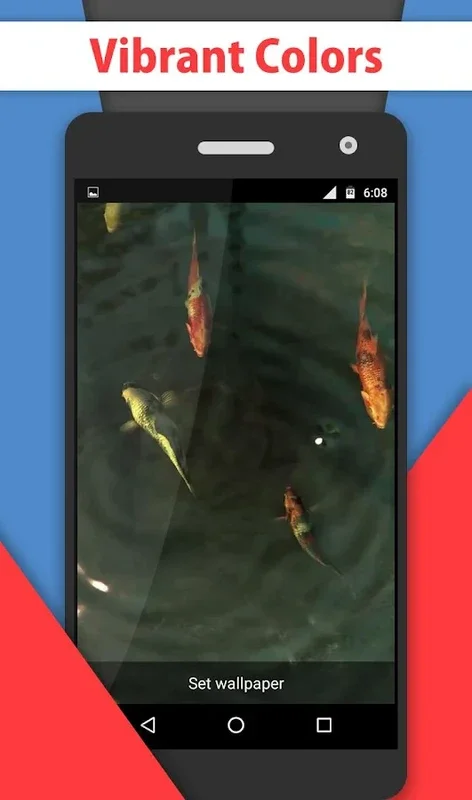 Koi Fish Pond Video LWP for Android - Serene Visuals