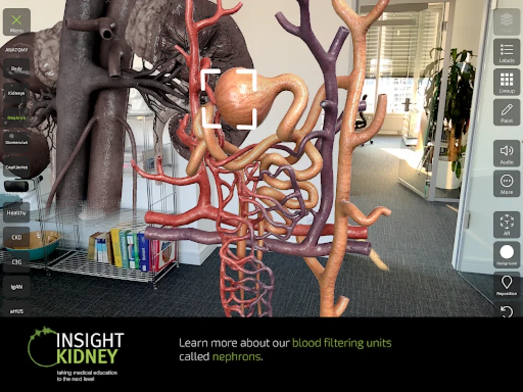 Insight Kidney for Android: Explore Kidney Anatomy with AR