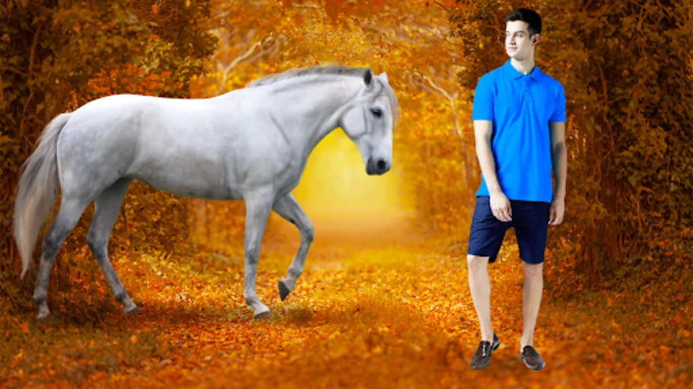 Horse Pic Editor Lyrical Maker for Android - Transform Photos