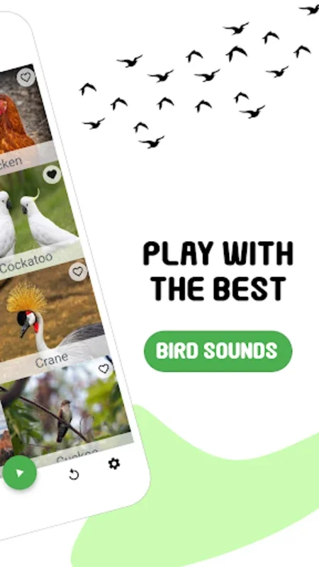 Bird Sounds for Android: Immerse in HD Bird Calls