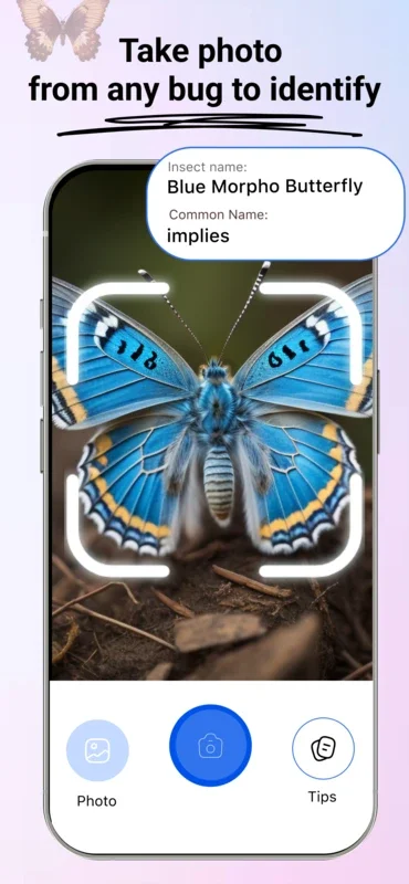 Bug Bite Identifier: Insect id for Android - Download the APK from AppHuts