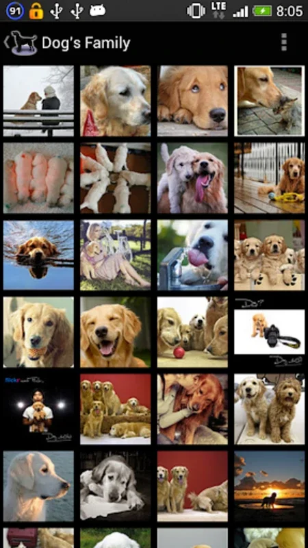 Dog Breeds for Android - Explore Detailed Canine Insights