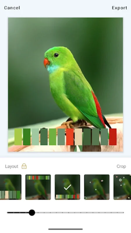 Palette+ for Android - Transform Photos with Color