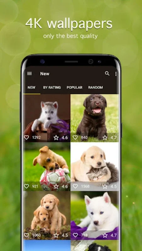 Puppy Wallpapers 4K for Android - Enhance Your Device with Cute Puppies