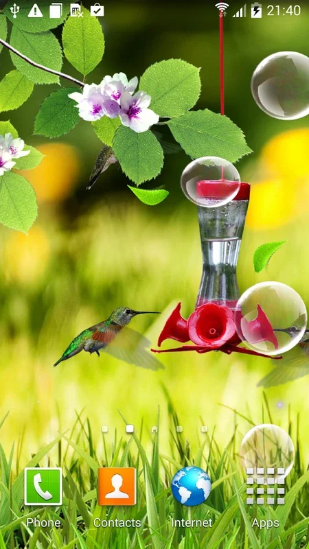 Hummingbirds Live Wallpaper for Android - Serene Visuals