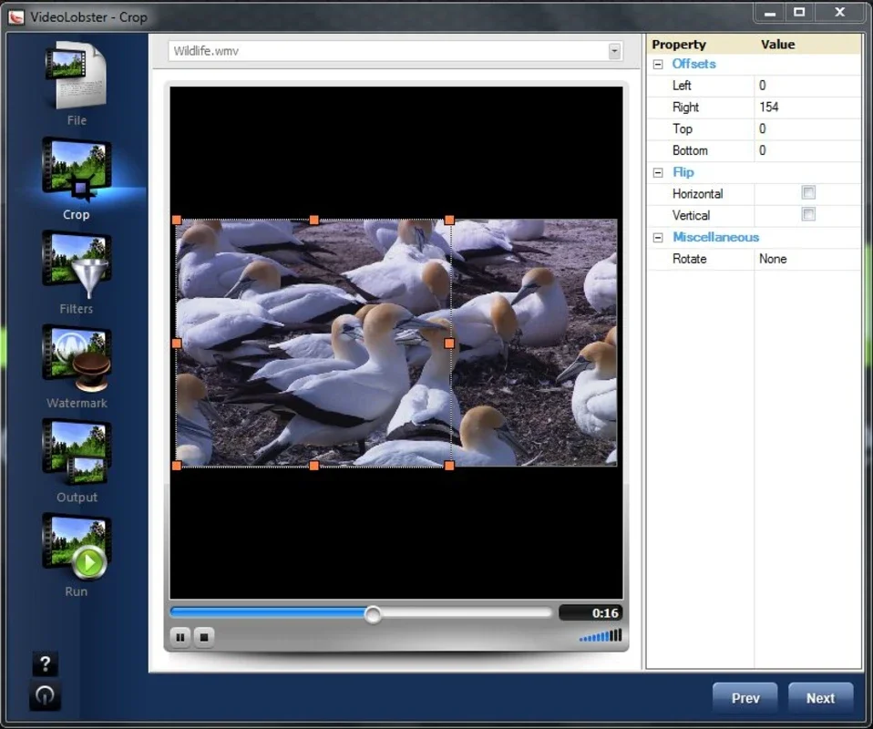 VideoLobster for Windows - Edit, Convert & Add Watermarks