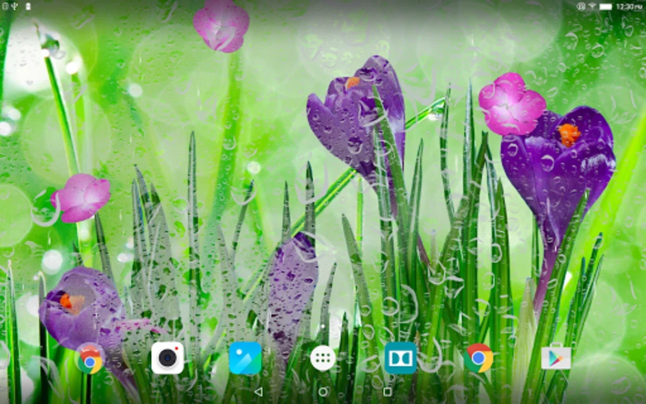 Spring Flower Live Wallpaper for Android - Enhance Your Screen