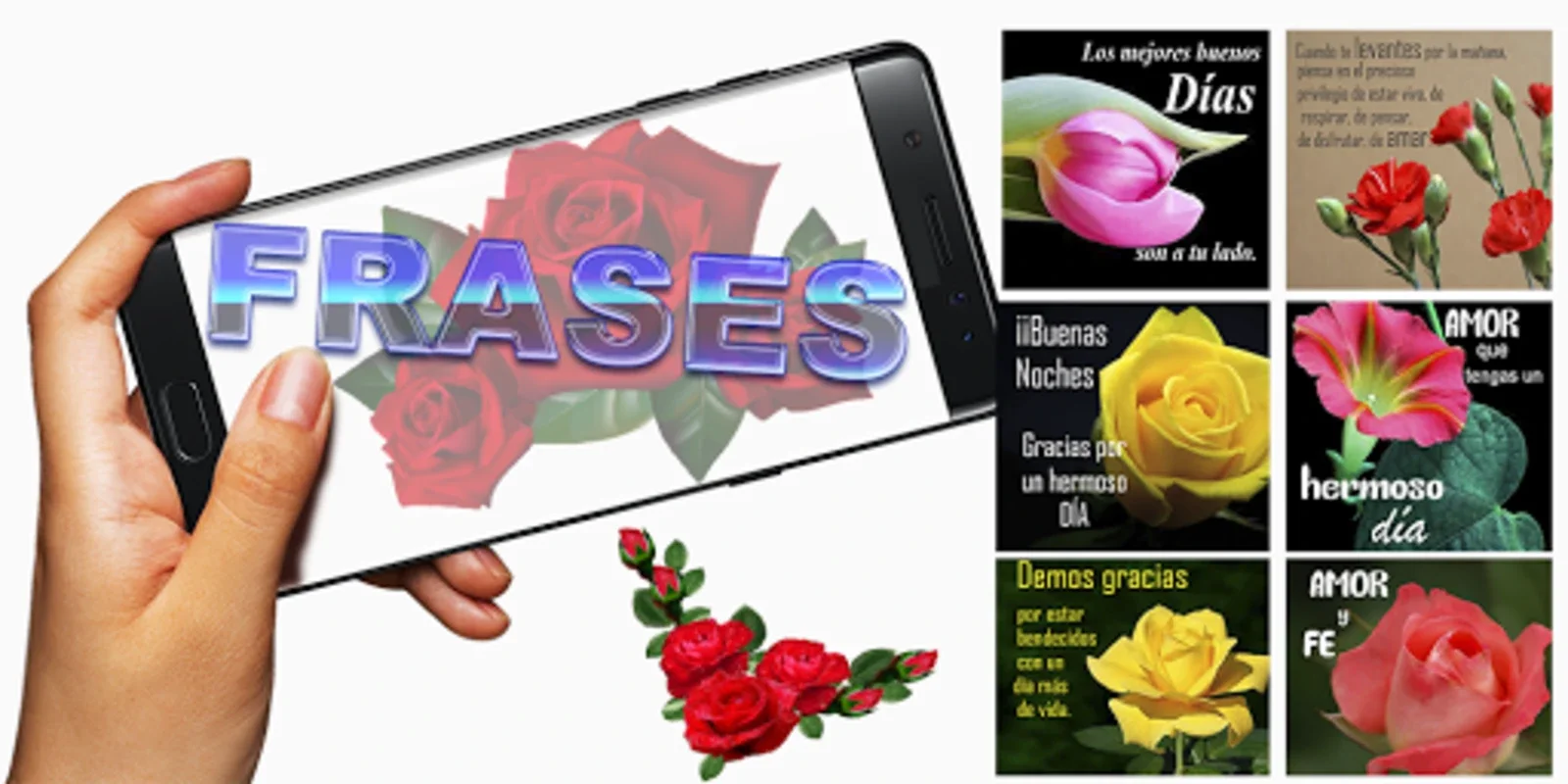 Rosas Con Frases Para Dedicar for Android - Express Emotions