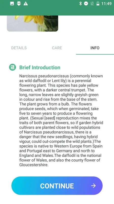 Plant Lens for Android: Identify Plants Easily