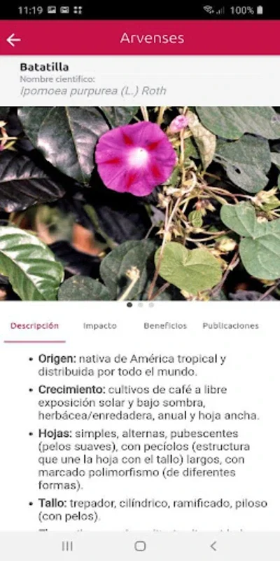 Cenicafé:Manejo Agronómico y Fitosanitario for Android - Enhance Coffee Health