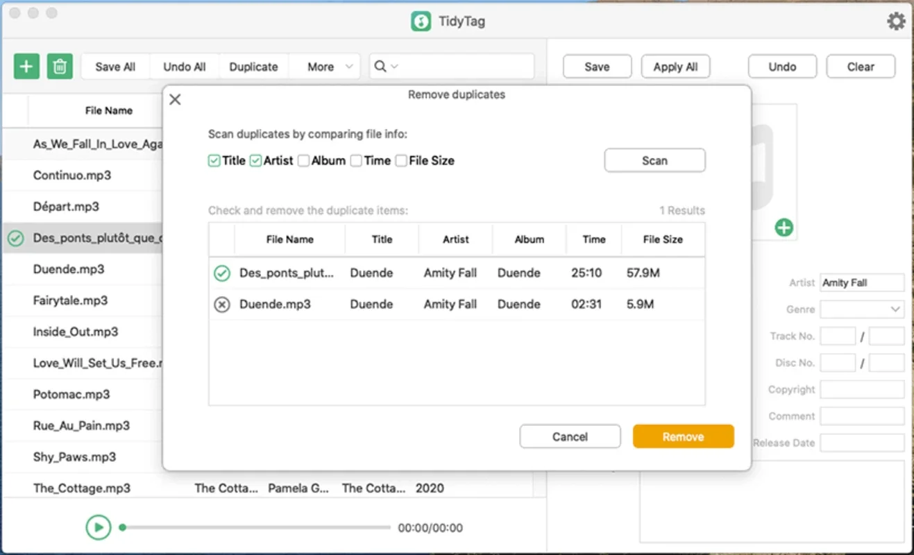 TidyTag Music Tag Editor for Mac: Organize Your Music