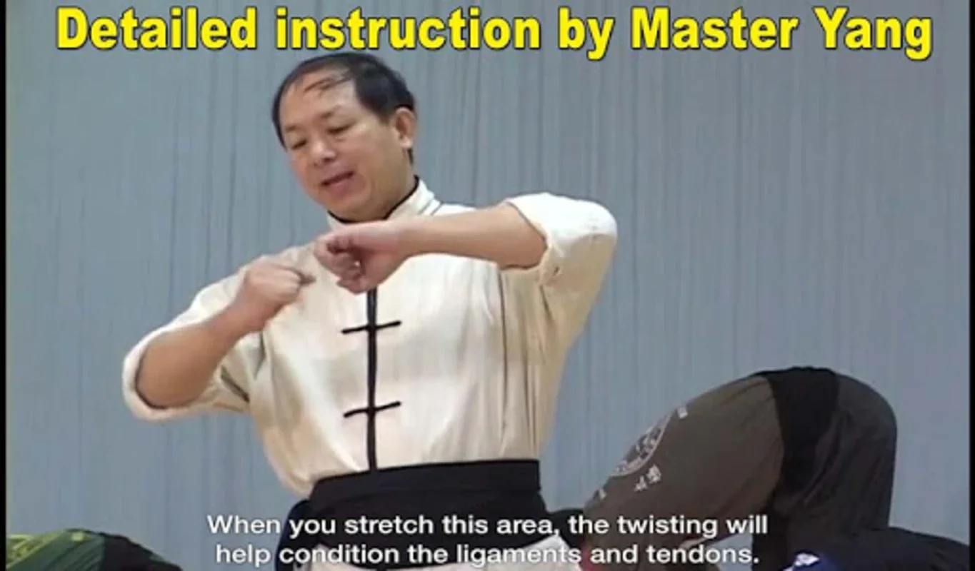 Shaolin Kung Fu for Android: Comprehensive Training